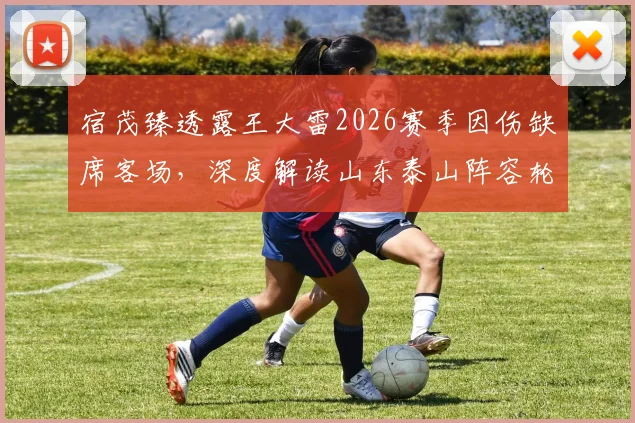 宿茂臻透露王大雷2026赛季因伤缺席客场，深度解读山东泰山阵容轮换优势与影响